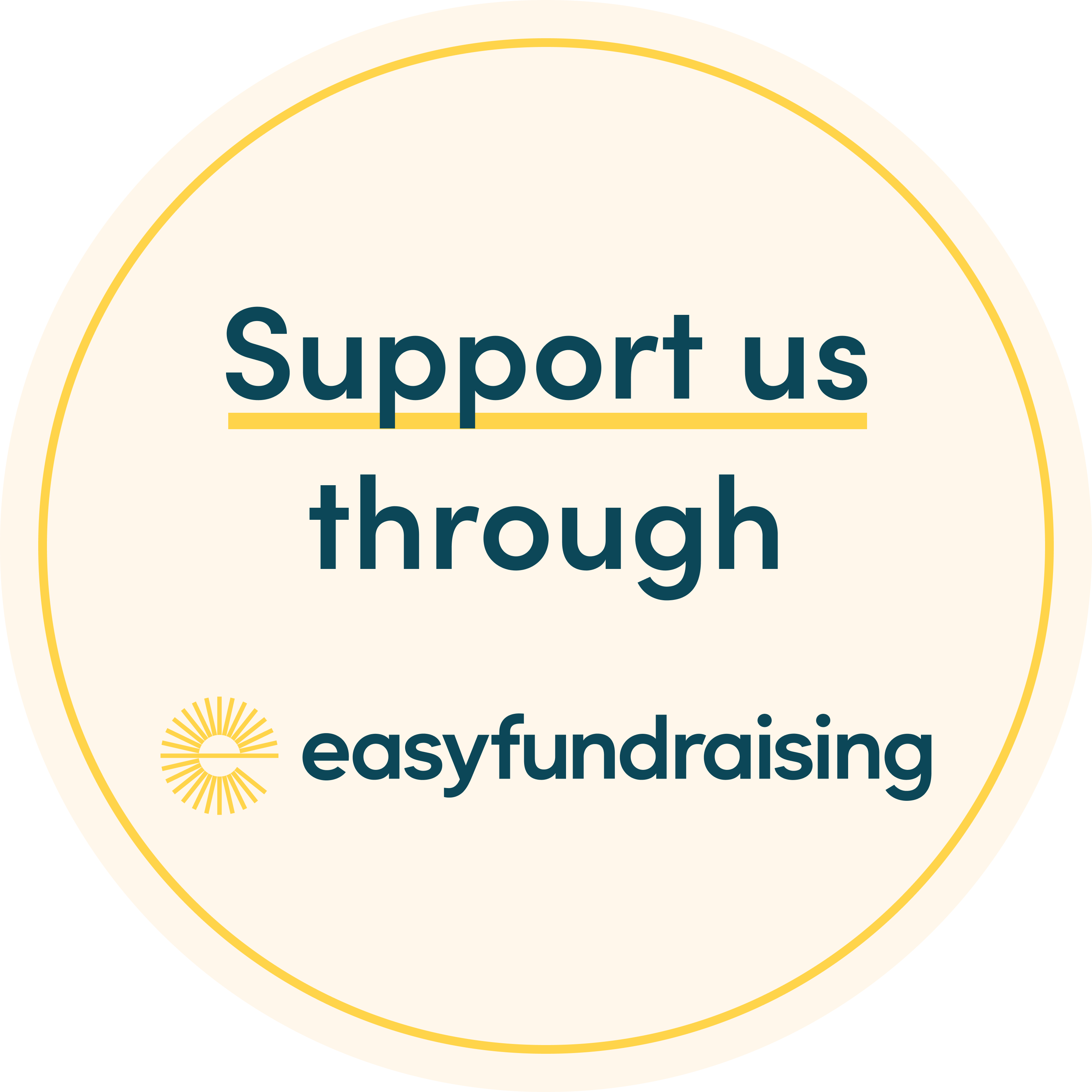 The EasyFundraising Logo