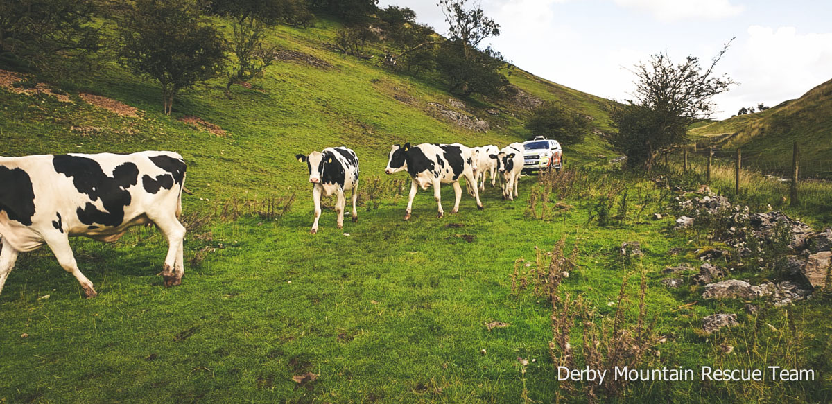 2019-36: Dovedale